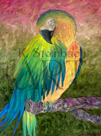 UNAVAILABLE Original Art - Macaw Sunset