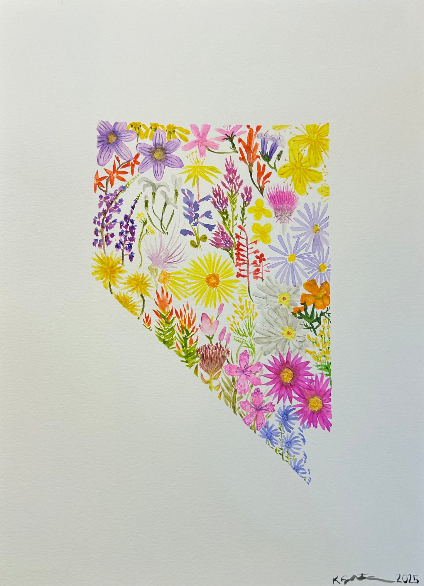 UNAVAILABLE Original Watercolor - Wildflowers of Nevada