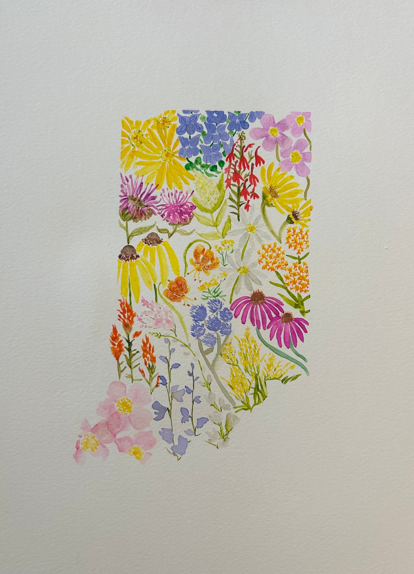 UNAVAILABLE Original Watercolor - Wildflowers of Indiana