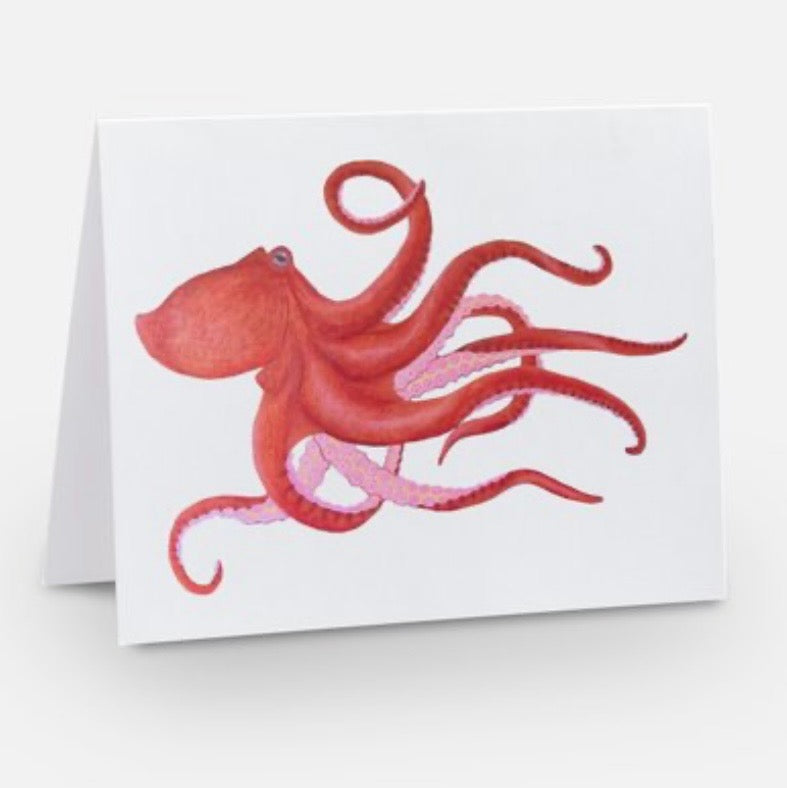 Blank Notecards - Cephalopod