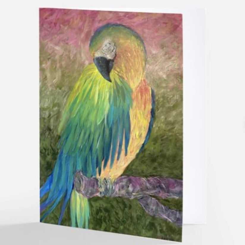 Blank Notecards - Macaw Sunset